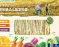 爷爷的农场有机婴幼儿蔬菜短面200g国家婴标宝宝辅食碎碎面婴儿面条6-12个月 实拍图