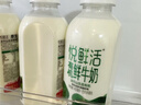 悦鲜活鲜牛奶 有机450ml*3瓶 鲜牛奶 低温奶 巴氏杀菌乳 生鲜 实拍图