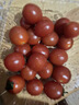 新鲜圣女果小西红柿小番茄新鲜蔬菜生鲜减肥减脂早餐沙拉现摘现发 畅销装 2斤 带箱 实拍图