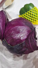 京地达山东新鲜紫甘蓝紫 净重5斤 单颗500g+包菜球起源头直发包邮 实拍图