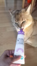卫仕营养化毛膏120g 狗狗猫咪微量元素维生素鱼油去毛吐毛化毛球片 实拍图