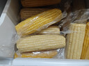 京鲜生【有机】内蒙古敖汉黄甜糯玉米礼盒装200g×8根源头直发包邮 实拍图