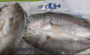 仙泉湖冷冻三去白蕉海鲈鱼700g/袋生鲜水产食材(350g*2条) 生鲜食材 实拍图