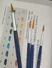 得力（deli）4支单号3/5/7/9水粉画笔油画笔油画专用笔画笔画刷写生油画蓝色73867 实拍图