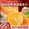 山姆大叔正宗江西赣南早脐橙子【多地次日达】甜橙子新鲜水果礼盒中秋送礼 【比蜜甜】15A果王｜90-95mm/单果 10斤装【家庭分享-蕞划算】净9 实拍图