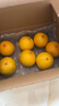 京觅福建爆汁葡萄柚 新鲜水果 礼盒 单果300g起 4.5斤装 源头直发  实拍图