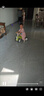 babycare儿童平衡车四轮滑行滑步车宝宝学步车无踏板1-3岁周岁礼物 原力青 实拍图