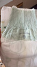 babycare金山茶花婴儿纸尿裤试用装M码3片(6-11kg)尿不湿透气【新老混发】 实拍图