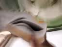 李宁（LI-NING）羽毛球鞋贴地飞行2LITE 标准白AYTT003-3 37 实拍图