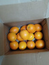 土八鲜江西橙子赣南脐橙新鲜水果赣州脐橙手剥甜橙礼盒 奋进橙9-10斤【单果200g+】 实拍图