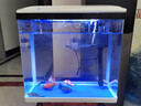 SICCE鱼缸懒人鱼缸家用客厅办公室金鱼缸中小型玻璃鱼缸过滤鱼缸 SO-400F【390*190*390】 实拍图