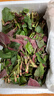 辰实【顺丰/JD快递】鱼腥草新鲜 折耳根叶子 侧耳根节节根蔬菜现挖发 3斤四川鱼腥草嫩叶 实拍图