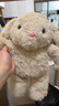 熊猫熊小兔子玩偶兔邦尼公仔毛绒玩具陪睡布娃娃儿童生日女生跨新年礼物 实拍图