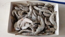 虾有虾途国产青岛大虾白虾青虾基围虾鲜虾冷冻生鲜虾类活冻特大海捕整箱装 14-16厘米 3斤(净重) 实拍图