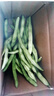 农家四季豆新鲜现摘云南长扁豆角农家应当季蔬菜芸豆现摘菜豆 新鲜四季豆300g 实拍图
