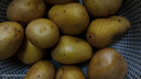 京喜加新鲜黄心土豆农家自种黄皮马铃薯黄心洋芋新鲜蔬菜 3斤 实拍图