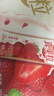 蒙牛真果粒草莓味牛奶饮品250g*12盒 小黄鸭IP 礼盒新老包装 含乳饮料 实拍图