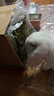 25年兔草苜蓿草干草兔子粮食龙猫荷兰猪豚鼠饲料高纤维兔粮 【25年新草】紫花苜蓿草1KG箱装(毛重) 实拍图