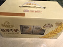 伊利谷粒多燕麦牛奶12盒 营养早餐奶澳洲燕麦颗粒 10月 200ml*12盒 实拍图