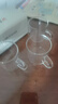 玻璃彩色把手杯品茗杯花茶套装茶杯防爆耐热小把杯100ml 4只装（透明把） 实拍图
