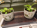 裕轩堂花盆陶瓷梅兰创意特大号简约绿萝吊兰阳台室内多肉托盆家用带托盘 82088-荷叶 大直径17厘米左右 实拍图