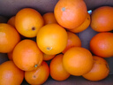 京觅 江西赣南脐橙8斤净重橙子单果150g起纽荷尔甜橙新鲜水果源头直发 实拍图