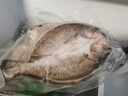 仙泉湖冷冻三去白蕉海鲈鱼700g/袋生鲜水产食材(350g*2条) 生鲜食材 实拍图