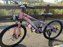 凤凰山地自行车男女变速山地车碟刹青少年儿童自行车学生单车 星际 粉紫【变速】后座+LED灯+辐条轮 20寸【适合125-160cm】 实拍图