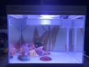 森森（SUNSUN）超白鱼缸一体缸自循环客厅桌面小型家用水族箱HEJ-380 实拍图