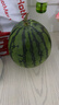 京鲜生 麒麟无籽西瓜 1粒装 单果7-9斤 生鲜水果 实拍图