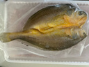 鲜京采宁德黄鱼鲞4条/2斤(单条235-255g)三去处理鱼类 地标 源头直发 实拍图