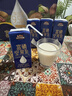 三只松鼠富硒坚果乳250ml*10盒植物蛋白饮料营养早餐学生年货礼盒送礼团购 实拍图