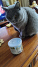 网易严选猫用薄荷饼干宠物幼猫成猫猫咪零食饼干薄荷味 95克 实拍图