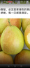 京鲜生 新疆库尔勒香梨 净重8斤 单果140g以上 生鲜水果 礼盒装 实拍图