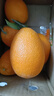 逮果重庆奉节脐橙纽荷尔春橙福本特级大果礼盒装时令新鲜孕妇水果橙子 净重4.5斤大果/75-80mm/约9-12个 实拍图