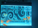 森森（SUNSUN）鱼缸水族箱客厅家用生态桌面金鱼缸免换水懒人鱼缸一体缸自循环 HE-600内置棉和滤材（物流发货） 实拍图