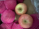 京鲜生 烟台红富士苹果 净重10斤  单果160g以上 水果礼盒 实拍图