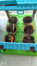 儿童种植小盆栽阳光种植房科学实验套装花房种花玩具观察迷你花园 单层阳光房-6包种子+工具 观察植物生长丨感受大自然的美 实拍图