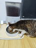 霍曼（Homerun）Real智能自动喂食器猫粮定时猫猫咪自动投食机（不锈钢碗） 实拍图