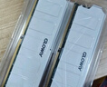光威（Gloway）8GB DDR4 3600 台式机内存条 天策  马甲条 精选颗粒 CL18 皓月白 实拍图