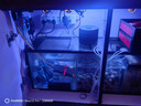 创宁鱼缸氧气泵 养鱼气泵 水族箱增氧泵 打氧加氧泵 增氧机充氧泵 套餐三【大号6.5W】8cm纳米沙盘 晒单实拍图
