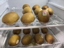 佳沛（zespri）意大利 阳光金奇异果12粒礼盒特大果单果约122-146g 猕猴桃 水果 实拍图