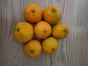 东江湖蜜桔约750g 实拍图