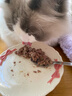 K9 Natural鸡肉猫主食罐头 170g*6成猫幼猫通用猫湿粮猫罐头 新西兰原装进口 实拍图