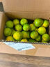 兀果语2025年云南密桔酸桔子当季薄皮橘子孕妇新鲜水果爆汁无核青 2斤 实拍图