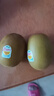 佳沛（zespri）新西兰 阳光金奇异果12粒礼盒特大果单果约122-146g 猕猴桃 水果 实拍图