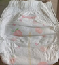 好奇（Huggies）铂金装小桃裤纸尿裤XXL28片(15kg以上)尿不湿【透爽散热】 实拍图