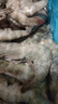 鲜京采 50/60厄瓜多尔白虾 去冰净重3.3斤 82-99只/盒 马年礼盒年货送礼 实拍图