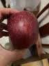 沐小七果蔬甘肃天水花牛粉面苹果 【多地次日达】蛇果水果礼盒年货礼盒 S+级巨无霸（单果约75-80mm） 10斤装【家庭聚会-蕞划算】净8斤 实拍图