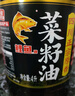 鲤鱼四川正宗原香【保真菜籽油】压榨非转基因菜籽油4L金龙鱼荣誉出品 实拍图